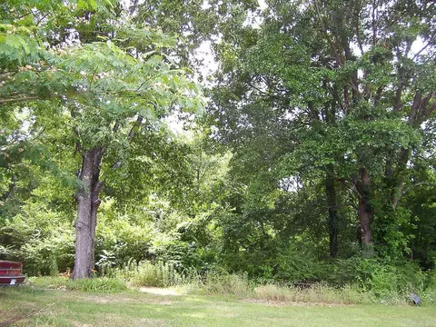 544 Black St, Wilton, AR 71865 photo 9