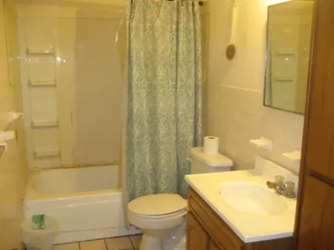 1308 Pine, Dexter, MO 63841 photo 8