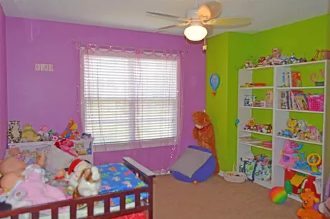 203 Parkview, Dexter, MO 63841 photo 10