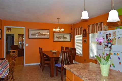 203 Parkview, Dexter, MO 63841 photo 7