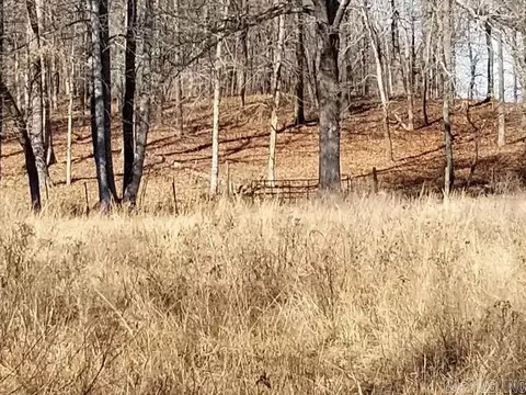 463 Francis Trl, Maynard, AR 72444 photo 23