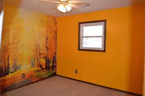 1113 Olive, Dexter, MO 63841 photo 10