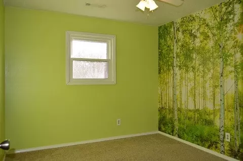 1113 Olive, Dexter, MO 63841 photo 9