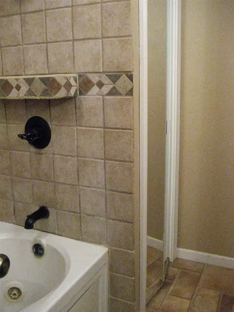 702 Albert St, Dexter, MO 63841 photo 19