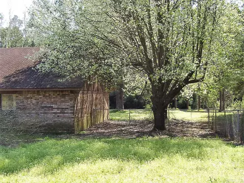 119 N 6th St, Ashdown, AR 71822 photo 4
