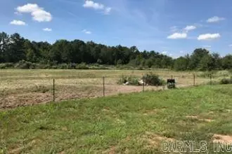 233 Little River 302, Ashdown, AR 71822 photo 19