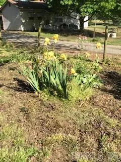 809 N Elm, Paris, AR 72855 photo 6