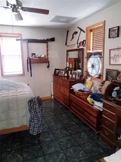 486 Carpenter Ln, Piggott, AR 72454 photo 11