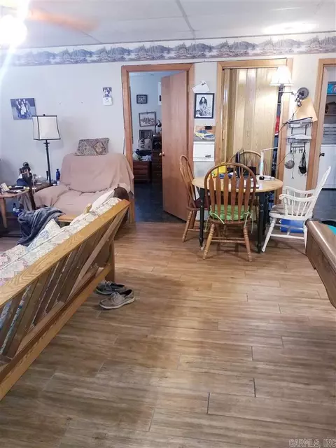 486 Carpenter Ln, Piggott, AR 72454 photo 5