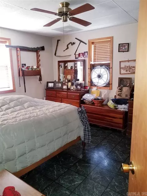 486 Carpenter Ln, Piggott, AR 72454 photo 9