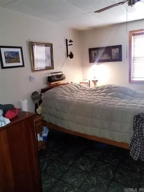 486 Carpenter Ln, Piggott, AR 72454 photo 10