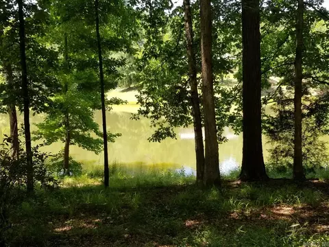 700 County Road 26, Roanoke, AL 36274 photo 25