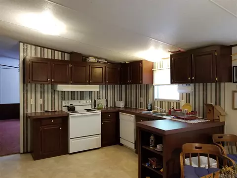 700 County Road 26, Roanoke, AL 36274 photo 5