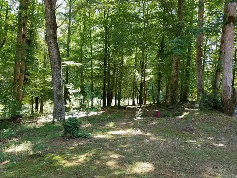700 County Road 26, Roanoke, AL 36274 photo 21