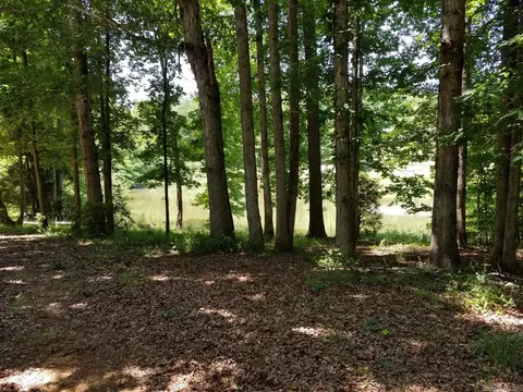 700 County Road 26, Roanoke, AL 36274 photo 24
