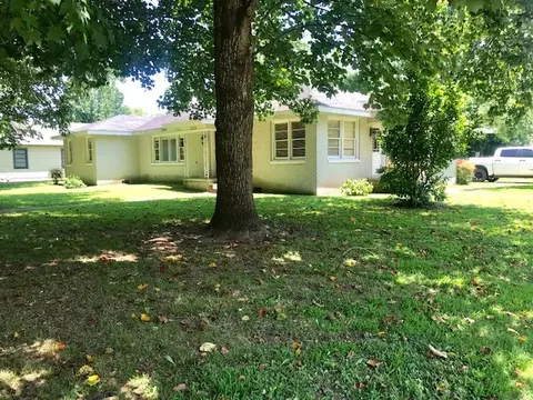 523 SW 3rd, Walnut Ridge, AR 72476 photo 25