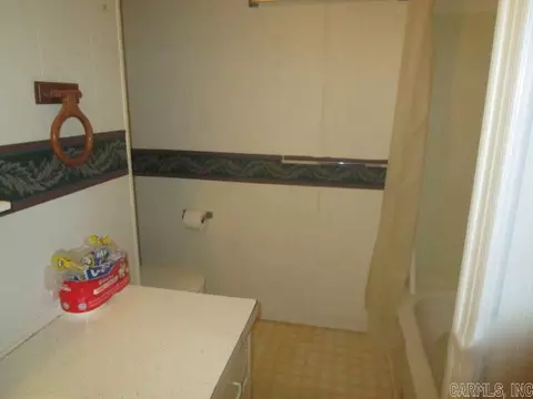 39364 E Sue Dr, Malden, MO 63863 photo 9