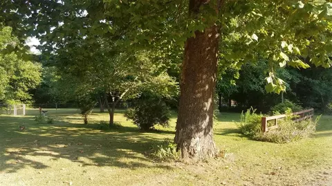105 Maple, Pollard, AR 72456 photo 8