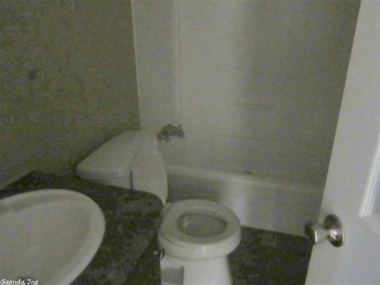 12288 Hwy 65, Bee Branch, AR 72013 photo 7