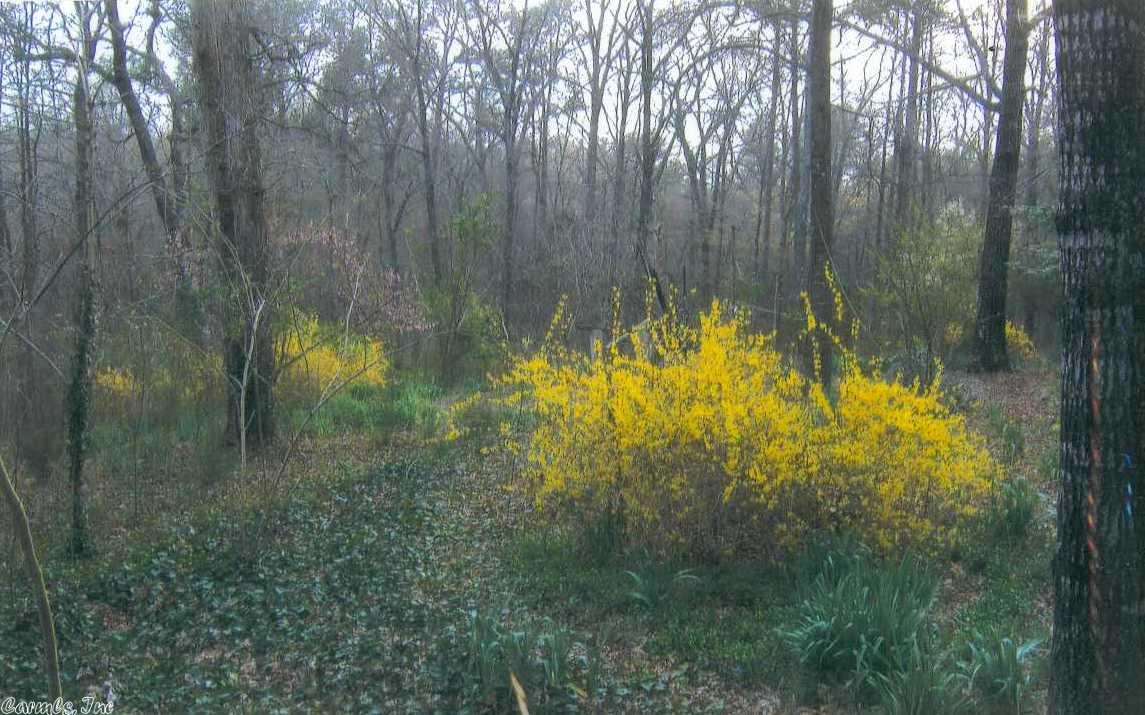 483 Polk 30, Hatfield, AR 71945 photo 13
