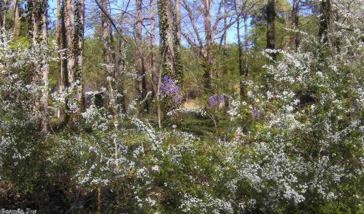 483 Polk 30, Hatfield, AR 71945 photo 14
