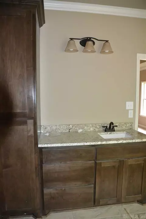 332 Zoe Ln, Alexander, AR 72002 photo 19