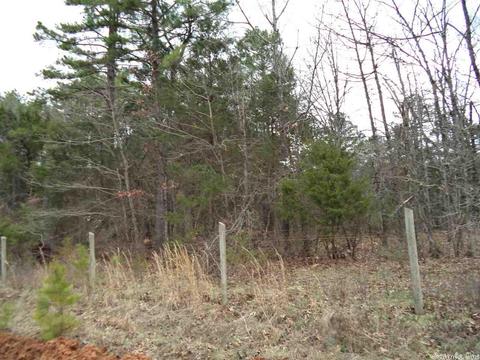520 Jimmy Mitchell Rd, Mountain View, AR 72560 photo 1