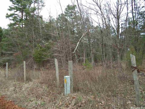 520 Jimmy Mitchell Rd, Mountain View, AR 72560 photo 3