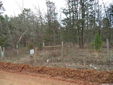 520 Jimmy Mitchell Rd, Mountain View, AR 72560 photo 4