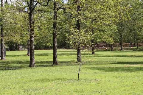 12606 Woodvine, Alexander, AR 72002 photo 1