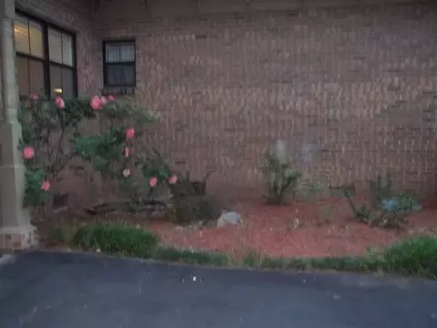 2101 42nd, Pine Bluff, AR 71603 photo 39