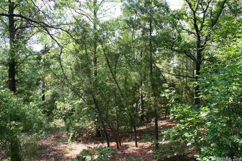 1340 Mcnutt Rd, Conway, AR 72034 photo 31