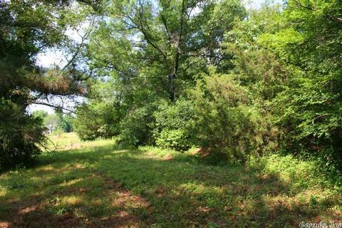 1340 Mcnutt Rd, Conway, AR 72034 photo 16