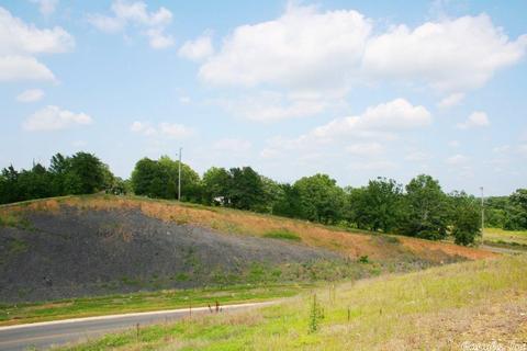 1340 Mcnutt Rd, Conway, AR 72034 photo 24