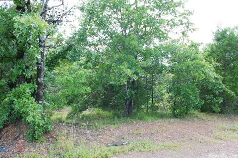 1340 Mcnutt Rd, Conway, AR 72034 photo 20