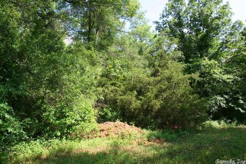 1340 Mcnutt Rd, Conway, AR 72034 photo 7