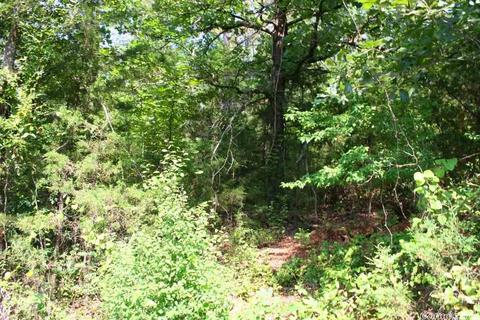 1340 Mcnutt Rd, Conway, AR 72034 photo 15