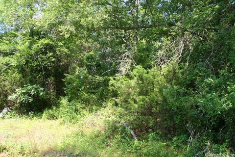 1340 Mcnutt Rd, Conway, AR 72034 photo 8
