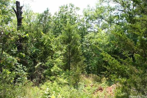 1340 Mcnutt Rd, Conway, AR 72034 photo 17
