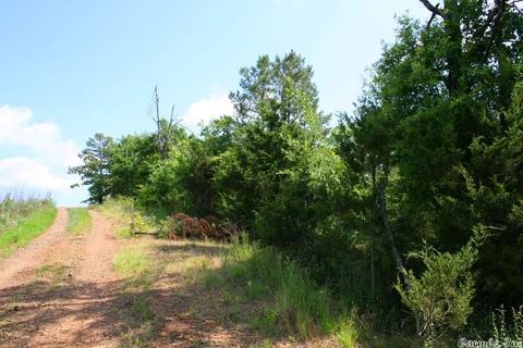 1340 Mcnutt Rd, Conway, AR 72034 photo 40