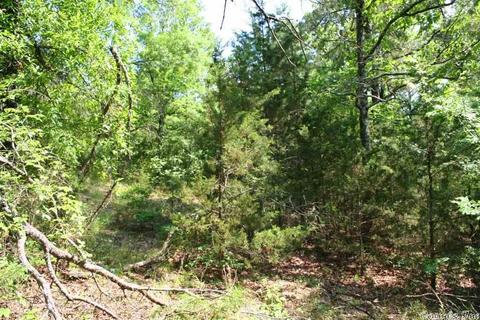 1340 Mcnutt Rd, Conway, AR 72034 photo 4