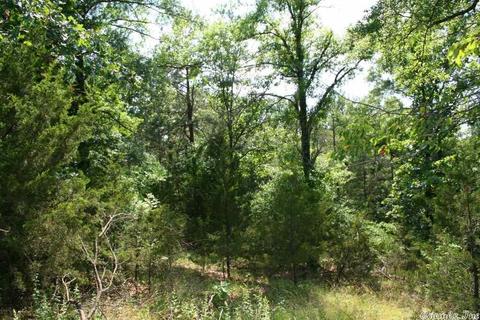 1340 Mcnutt Rd, Conway, AR 72034 photo 2