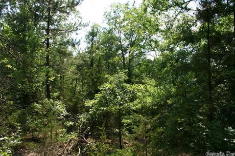 1340 Mcnutt Rd, Conway, AR 72034 photo 32