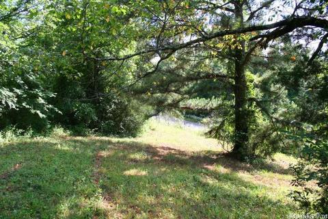 1340 Mcnutt Rd, Conway, AR 72034 photo 9