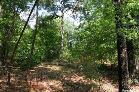 1340 Mcnutt Rd, Conway, AR 72034 photo 39