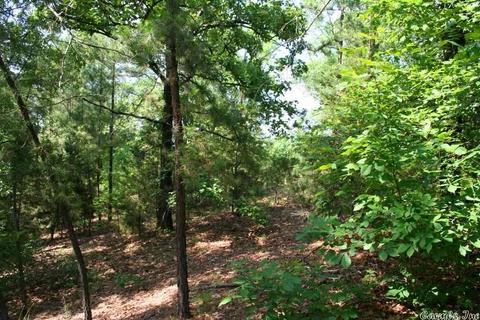 1340 Mcnutt Rd, Conway, AR 72034 photo 34