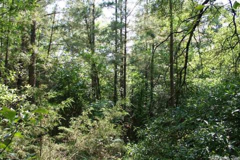 1340 Mcnutt Rd, Conway, AR 72034 photo 5