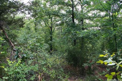 1340 Mcnutt Rd, Conway, AR 72034 photo 29