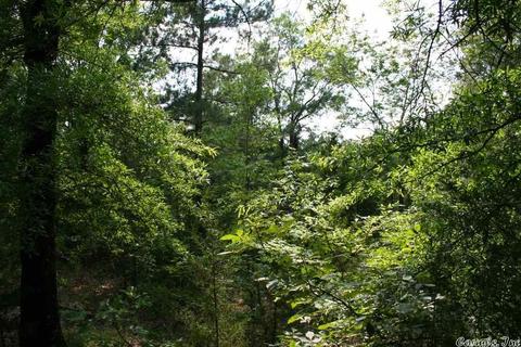 1340 Mcnutt Rd, Conway, AR 72034 photo 30