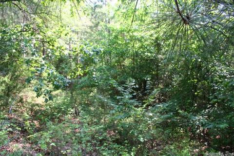 1340 Mcnutt Rd, Conway, AR 72034 photo 6